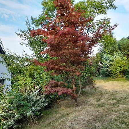 Haus Edda - Ferienwohnungen Mit Garten Und Schlossblick Marburg エクステリア 写真