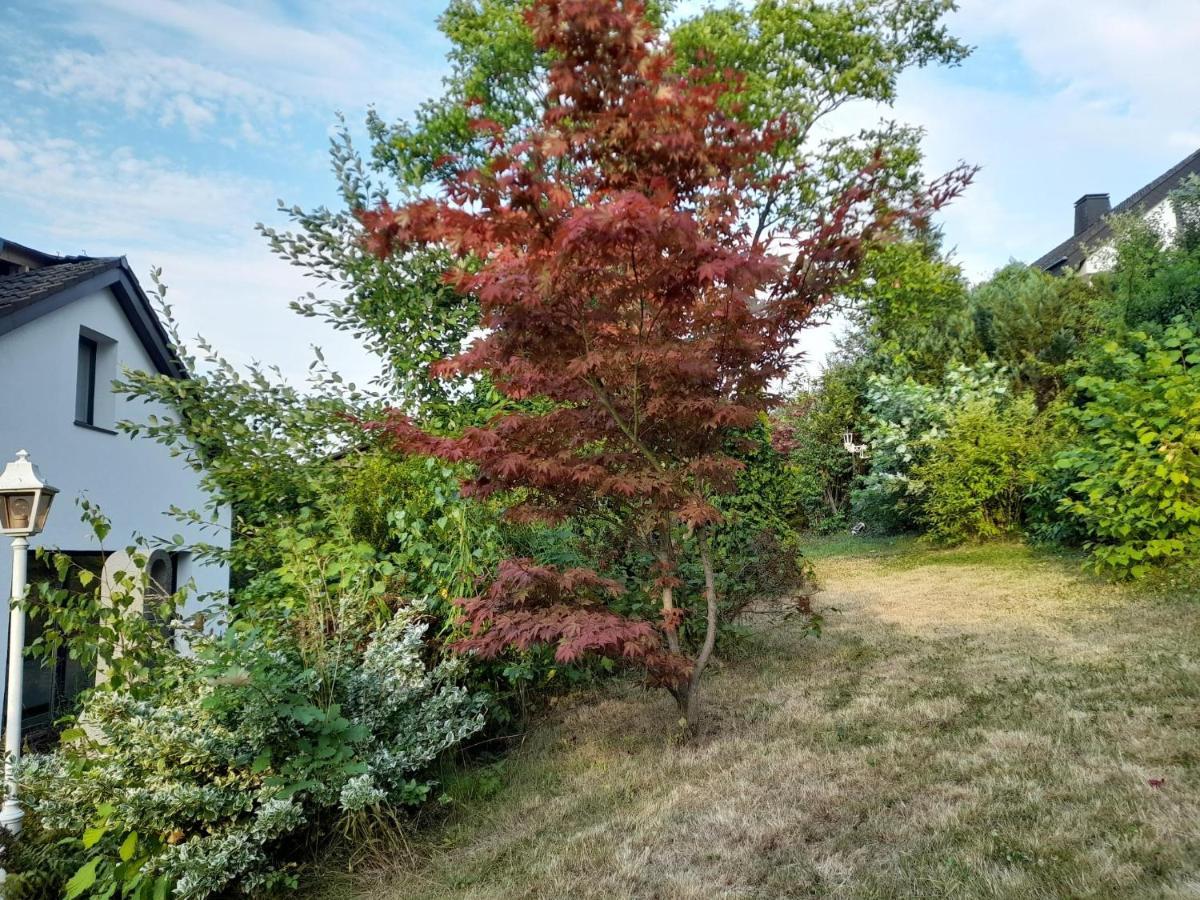 Haus Edda - Ferienwohnungen Mit Garten Und Schlossblick Marburg エクステリア 写真